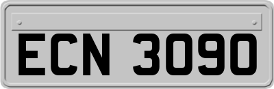 ECN3090