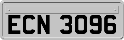 ECN3096