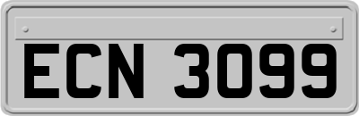 ECN3099