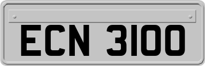 ECN3100