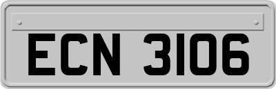 ECN3106