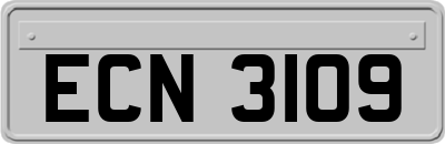 ECN3109