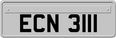 ECN3111