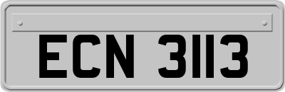 ECN3113