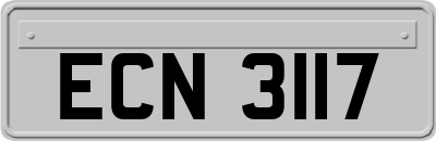 ECN3117