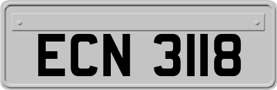 ECN3118