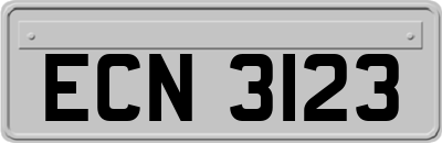 ECN3123