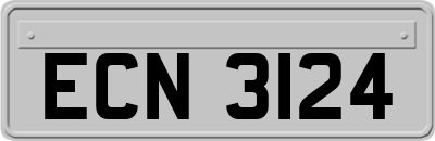 ECN3124