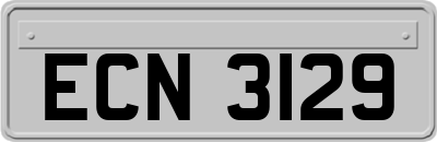 ECN3129