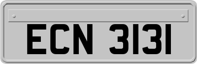 ECN3131