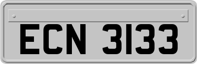 ECN3133