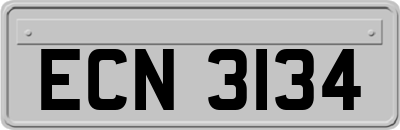 ECN3134