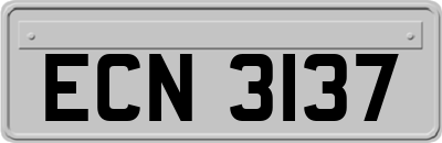 ECN3137
