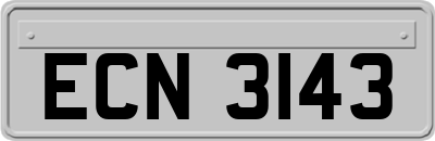 ECN3143