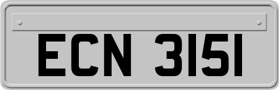 ECN3151