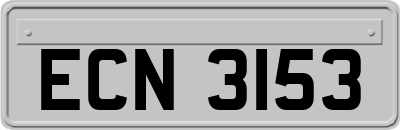 ECN3153