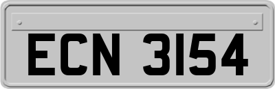 ECN3154