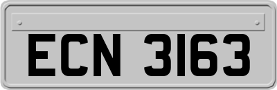ECN3163