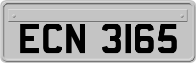 ECN3165
