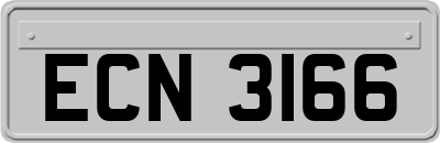 ECN3166