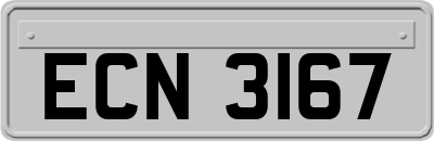 ECN3167