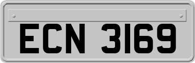 ECN3169