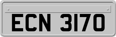 ECN3170