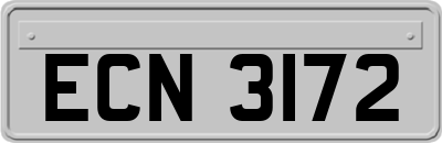 ECN3172