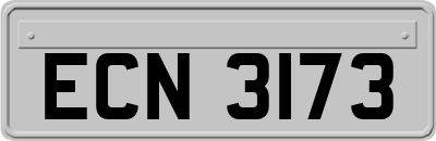 ECN3173