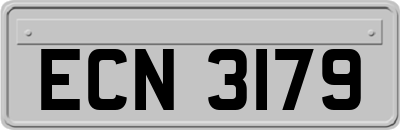 ECN3179