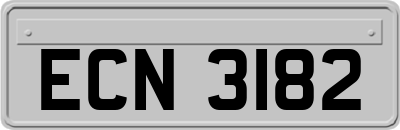 ECN3182