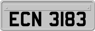 ECN3183