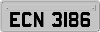 ECN3186