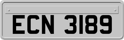 ECN3189