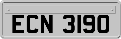 ECN3190