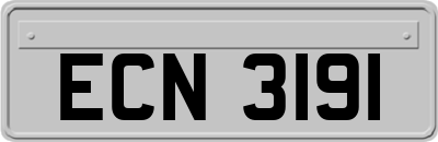ECN3191