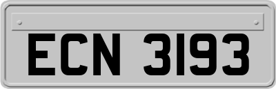 ECN3193