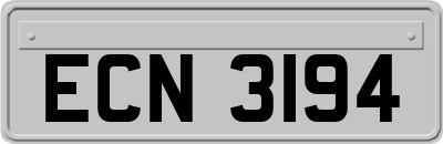 ECN3194