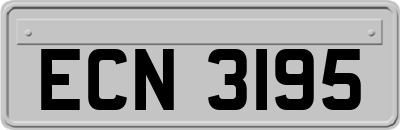 ECN3195