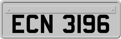 ECN3196
