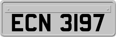 ECN3197