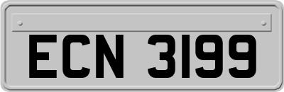 ECN3199