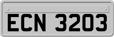 ECN3203