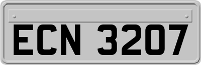 ECN3207