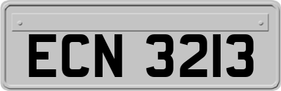 ECN3213