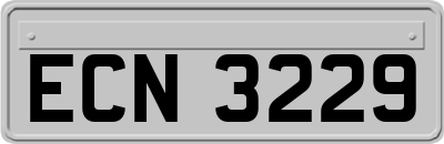 ECN3229