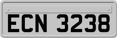 ECN3238