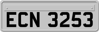 ECN3253