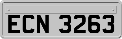 ECN3263