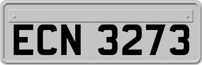 ECN3273